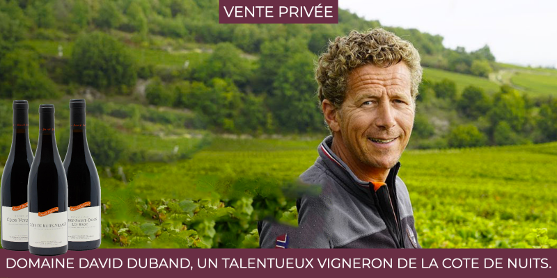 Millésime 2023 : David Duband, un talentueux vigneron de la Côte de Nuits. 